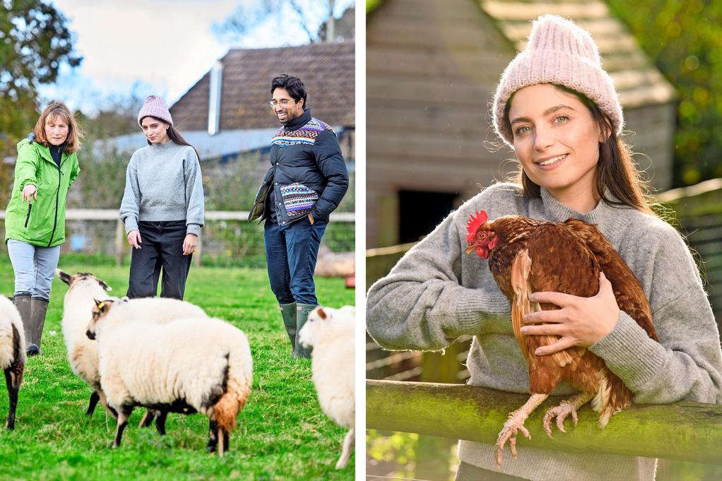 smallholding for beginners at humble by Nature