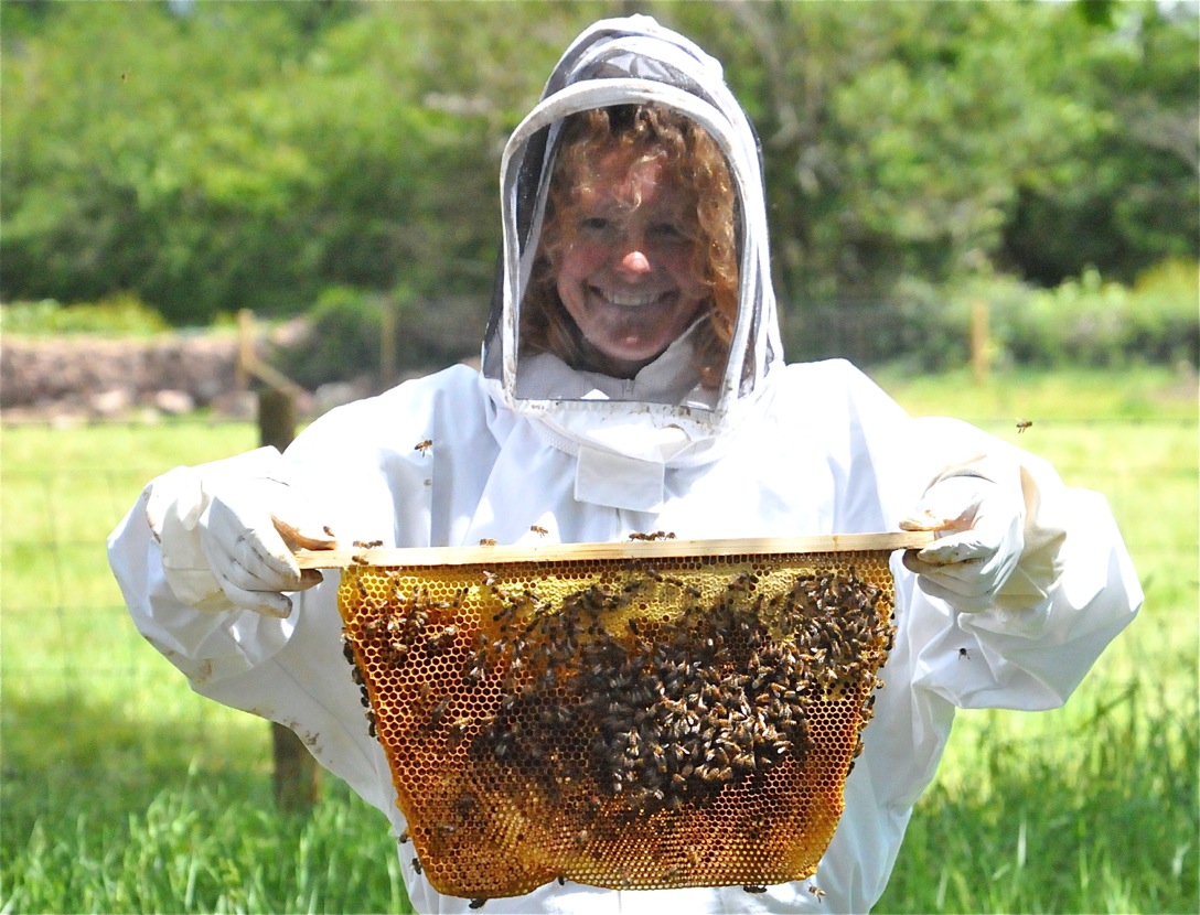 Kate Humble patron for Bees for Development
